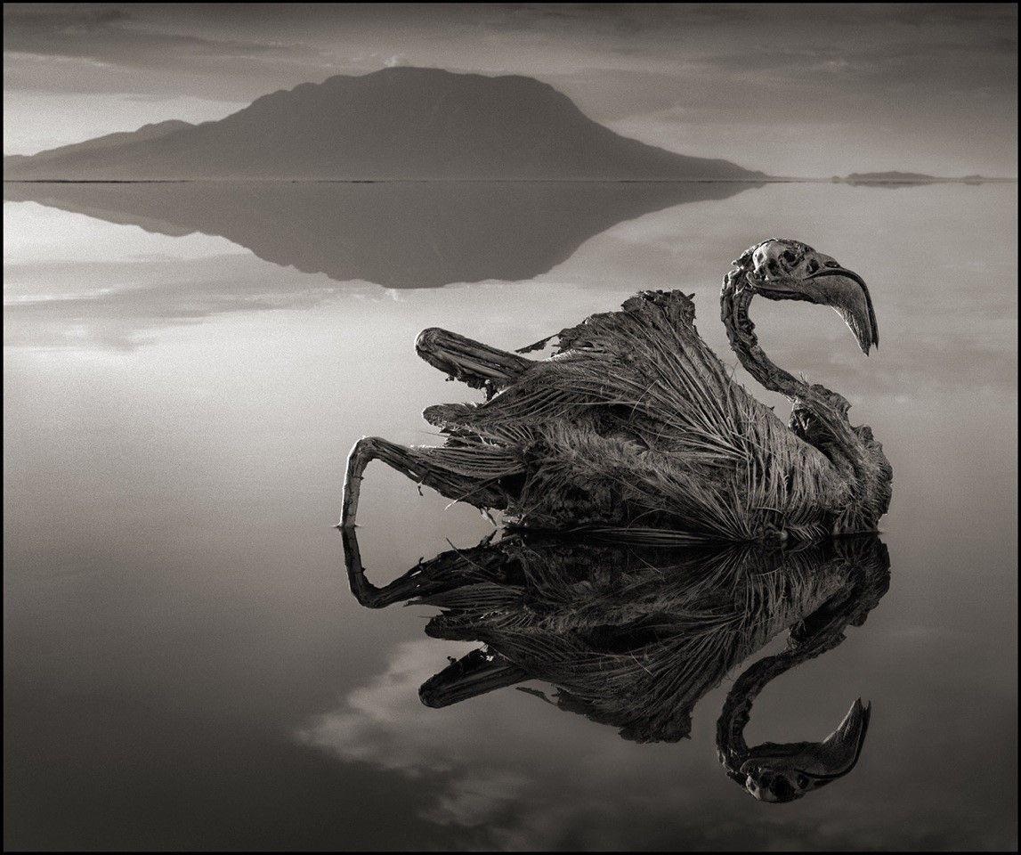 Lake Natron – The Scariest Lake